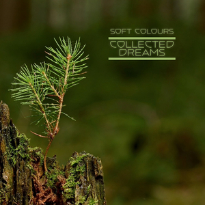 男人把姐鸡鸡露出来的网站
