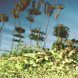 男人把姐鸡鸡露出来的网站
