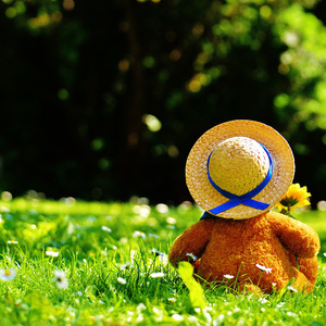 男人把姐鸡鸡露出来的网站
